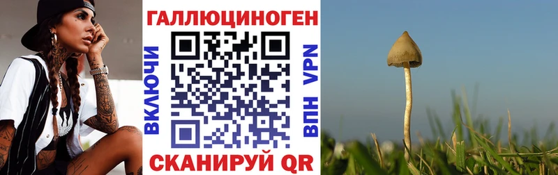 Купить  Коряжма  Псилоцибиновые грибы ЛСД 